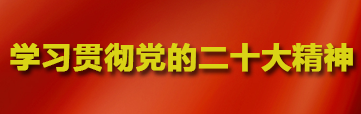 学习贯彻党的二十大精神