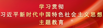 学习贯彻习近平新时代中国特色社会主义思想主题教育